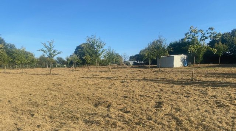La Coruña - Carballotorto - 7700m2