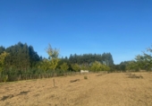 Non-developable land for sale in Ponte Aranga ref: TR381650 photo