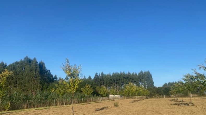 La Coruña - Carballotorto - 7700m2