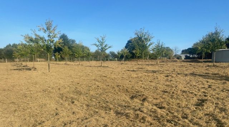 La Coruña - Carballotorto - 7700m2