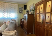 Chalet independiente con terreno en venta en El Álamo ref: TR210198 foto