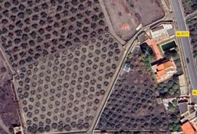 Pechina 6442&nbsp;m² 