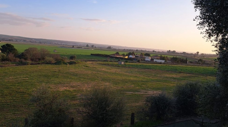 Córdoba - Almodóvar del Río - 700m2