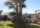 Rural estate for sale in Villanueva de Córdoba ref: TR284301 photo