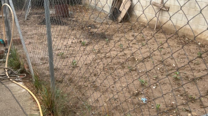 Córdoba - Palenciana - 1070m2