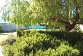 Foto 8
