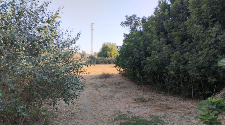 Córdoba - Córdoba - 50000m2