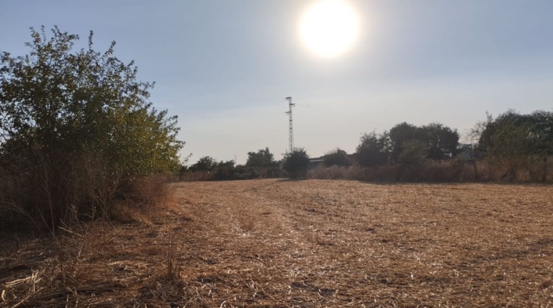 Córdoba - Córdoba - 50000m2