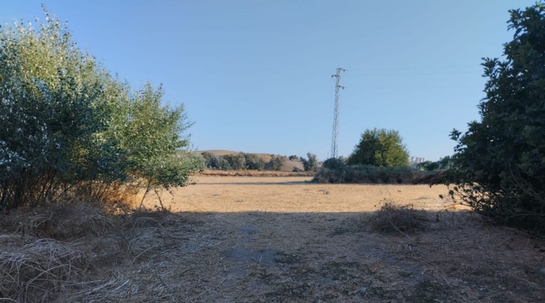 Córdoba - Córdoba - 50000m2