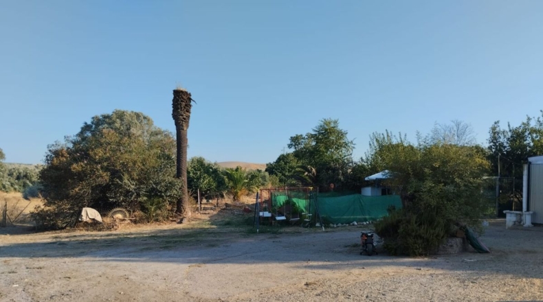 Córdoba - Córdoba - 50000m2