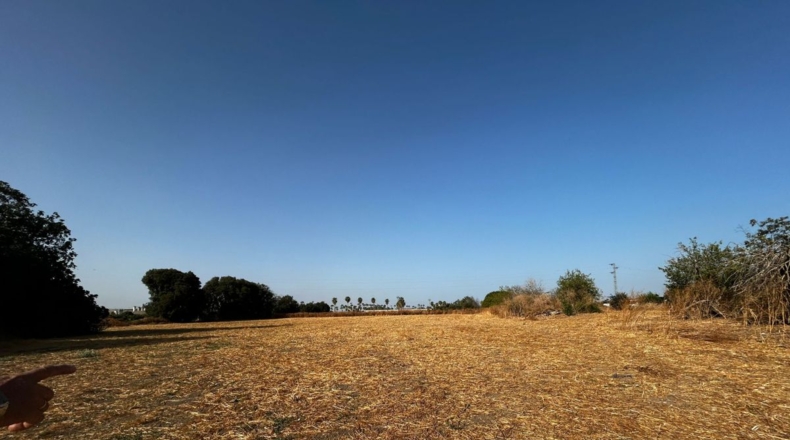 Córdoba - Córdoba - 50000m2