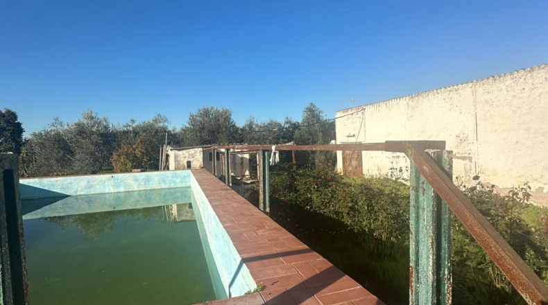 Córdoba - Córdoba - 7000m2