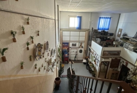 Foto 6