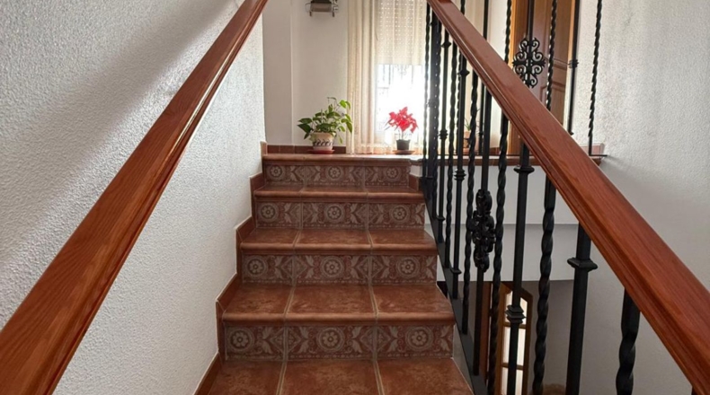 Almería - Alcolea - 350m2