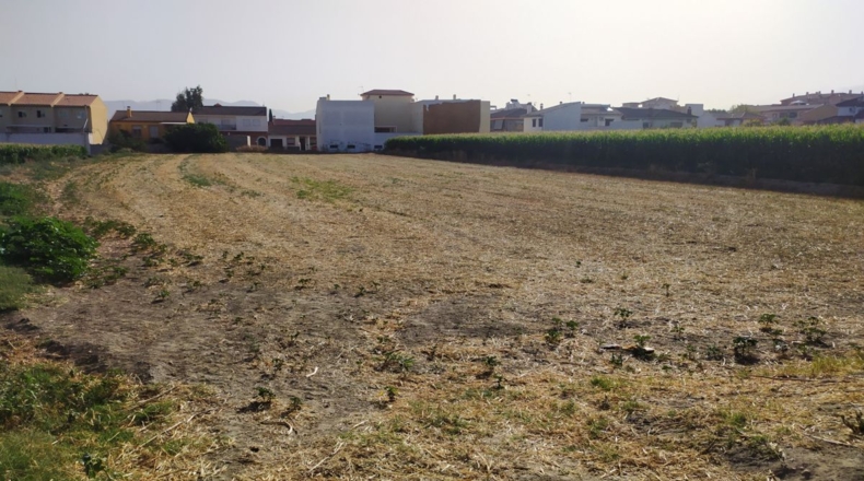 Granada - Cúllar Vega - 5900m2