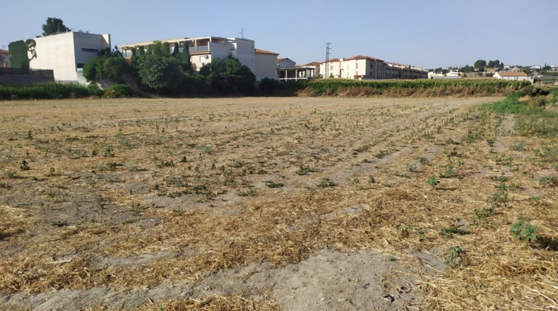 Granada - Cúllar Vega - 5900m2
