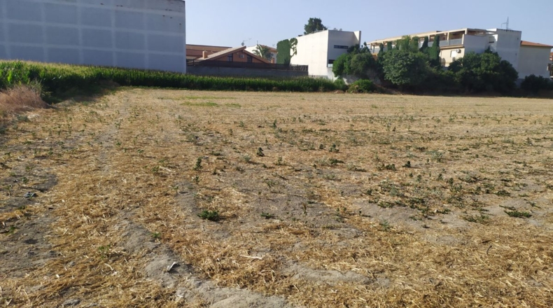 Granada - Cúllar Vega - 5900m2