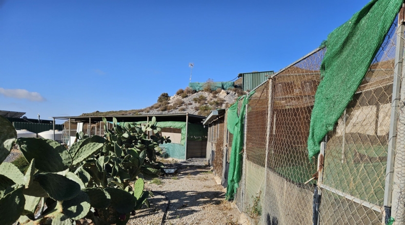 Murcia - Cuesta de Gos - 250000m2
