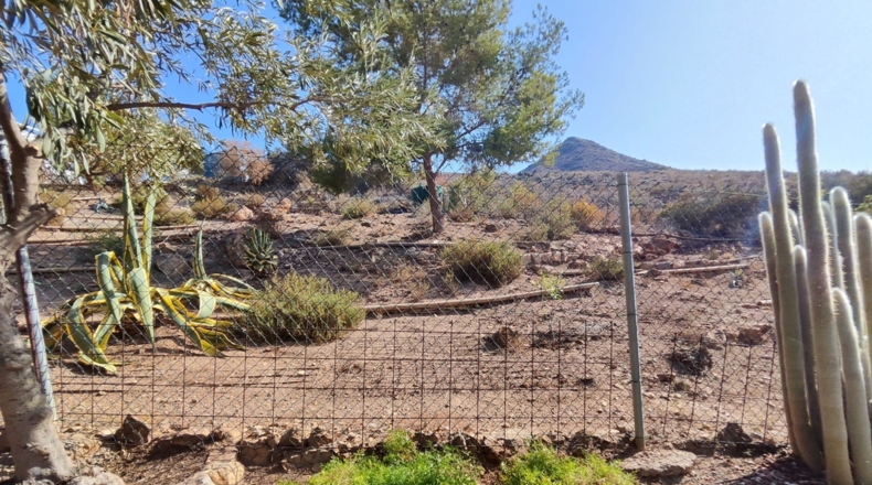 Murcia - Los Arejos - 2065m2
