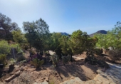 Finca rústica en venda a Àguiles ref.: TR182739 foto