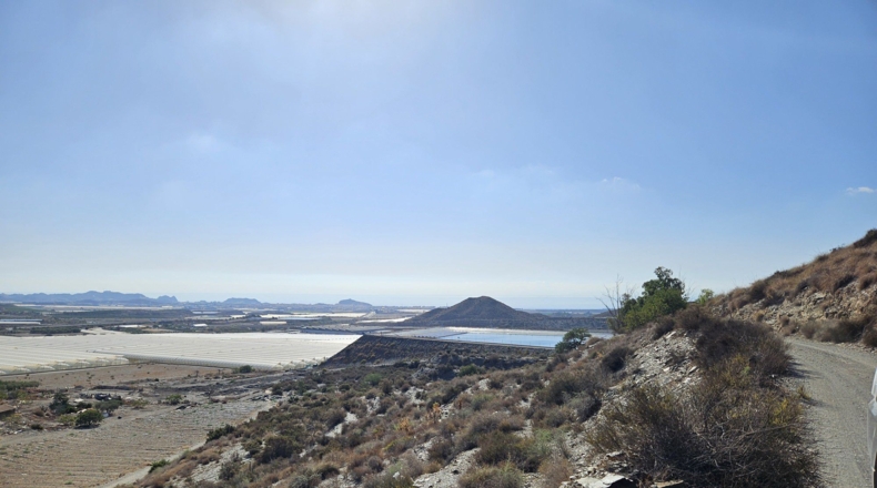 Murcia - Calabardina - 20000m2