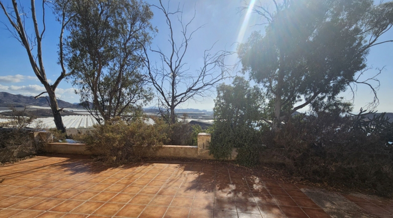 Murcia - Calabardina - 20000m2