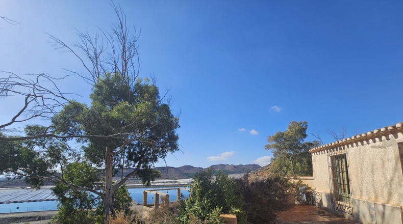 Murcia - Calabardina - 20000m2