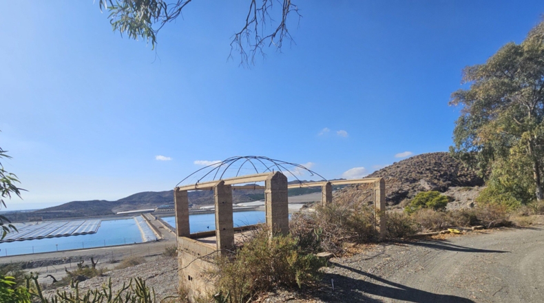 Murcia - Calabardina - 20000m2
