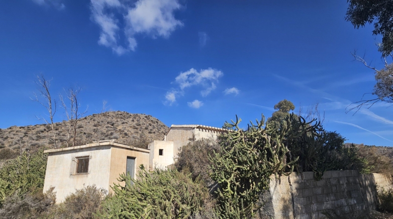 Murcia - Calabardina - 20000m2