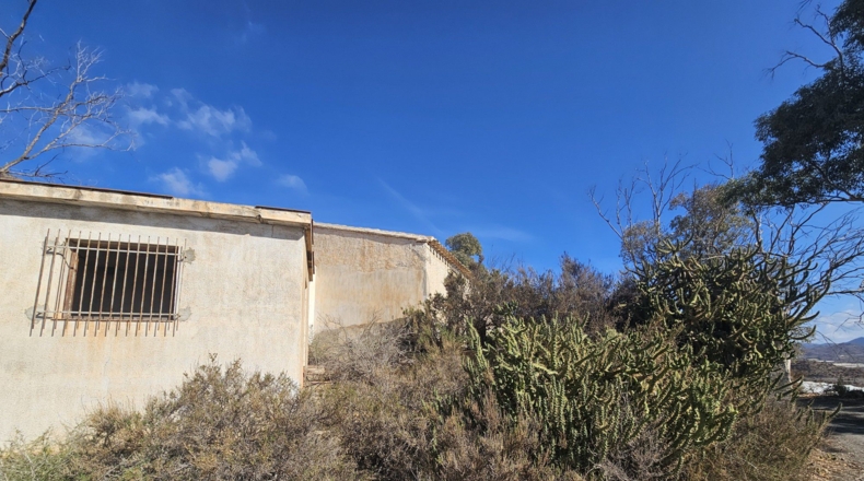 Murcia - Calabardina - 20000m2