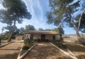 Finca rústica en venda a Àguiles ref.: TR234486 foto