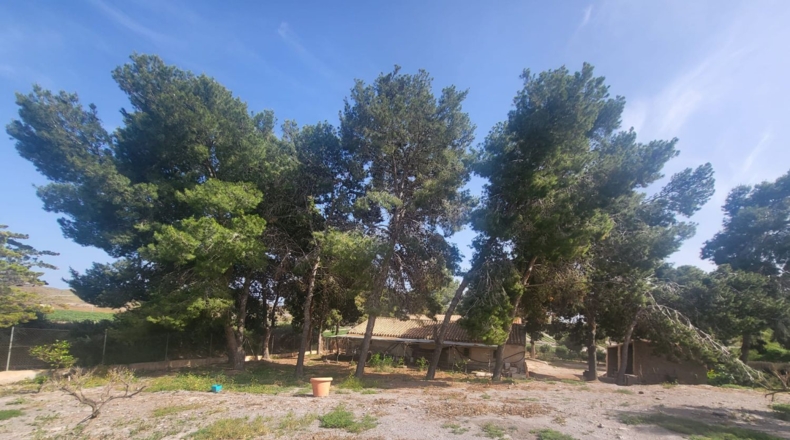 Múrcia - Águilas - 5200m2
