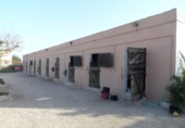 Casa de camp amb terreny en venda a Catral ref.: TR201484 foto