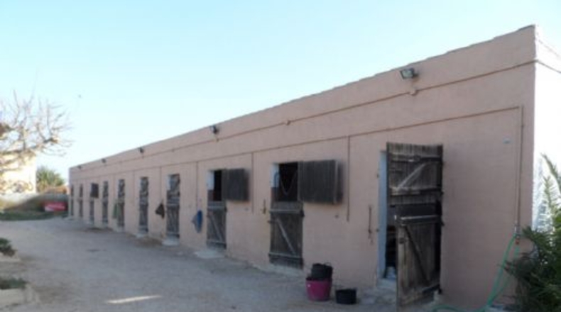 Alicante - Catral - 11435m2