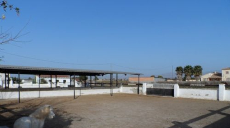 Alicante - Catral - 11435m2