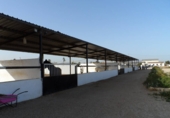 Casa de camp amb terreny en venda a Catral ref.: TR201484 foto