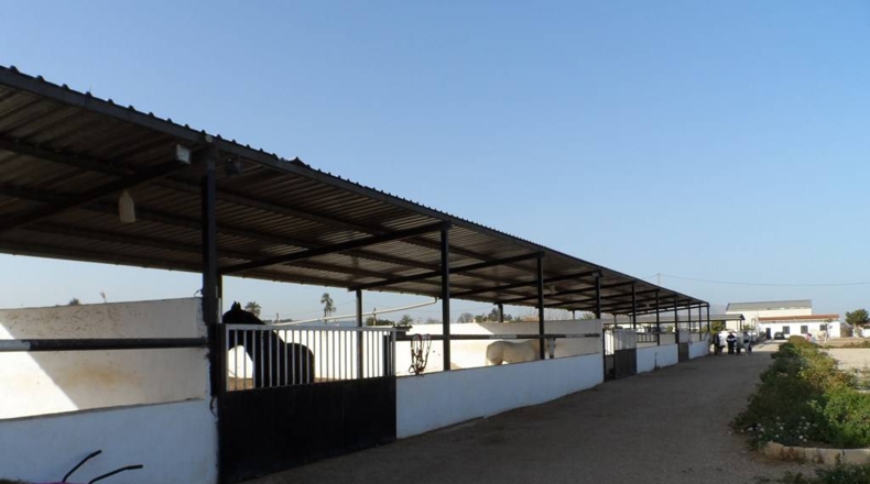 Alicante - Catral - 11435m2