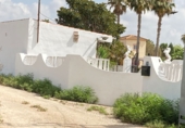 Casa de camp amb terreny en venda a Catral ref.: TR201484 foto