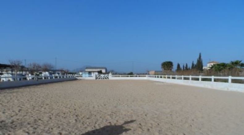 Alicante - Catral - 11435m2