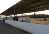 Casa de camp amb terreny en venda a Catral ref.: TR201484 foto