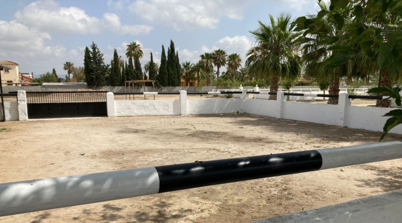 Alicante - Catral - 11435m2