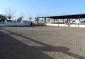 Casa de camp amb terreny en venda a Catral ref.: TR201484 foto