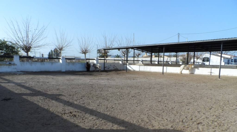 Alicante - Catral - 11435m2