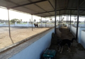 Casa de camp amb terreny en venda a Catral ref.: TR201484 foto