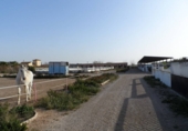 Casa de camp amb terreny en venda a Catral ref.: TR201484 foto