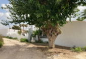 Casa de camp amb terreny en venda a Catral ref.: TR201484 foto