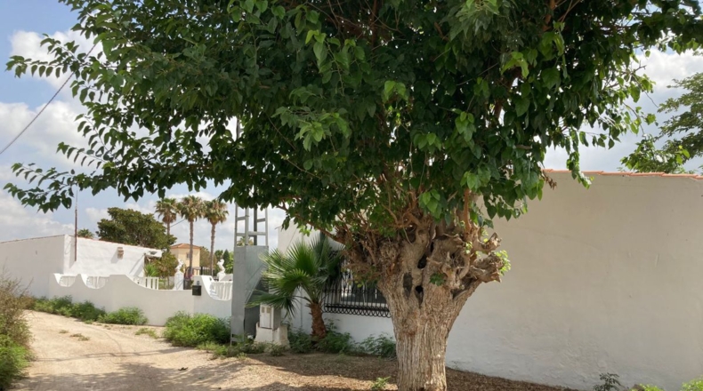 Alicante - Catral - 11435m2