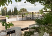 Casa de camp amb terreny en venda a Catral ref.: TR201484 foto