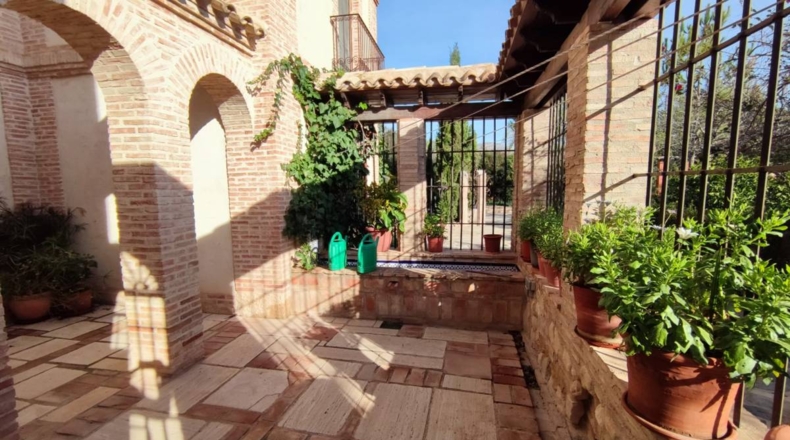 Alicante - Crevillente - 6494m2