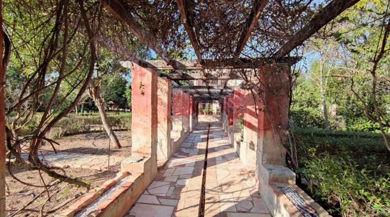 Alicante - Crevillente - 6494m2